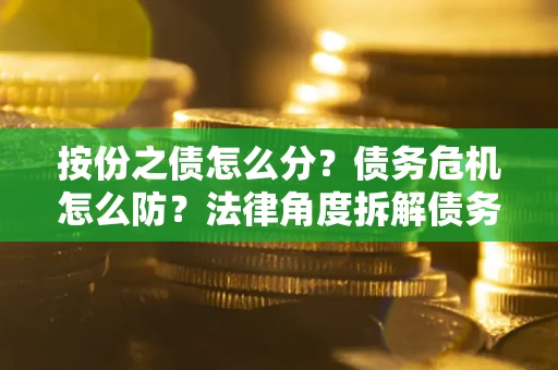 武汉按份之债怎么分？债务危机怎么防？法律角度拆解债务分配与风险自保指南