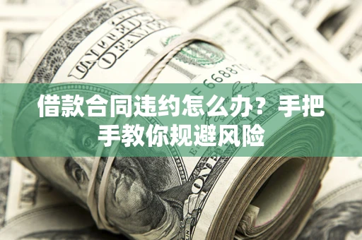 武汉借款合同违约怎么办？手把手教你规避风险
