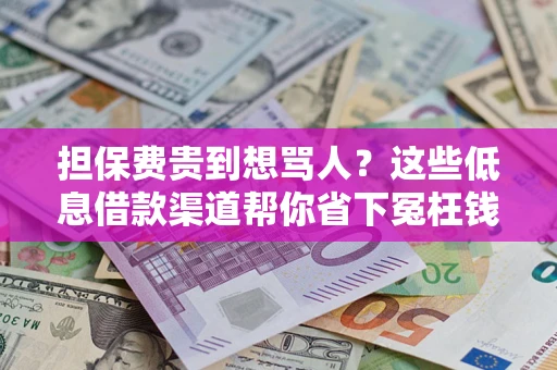 武汉担保费贵到想骂人？这些低息借款渠道帮你省下冤枉钱