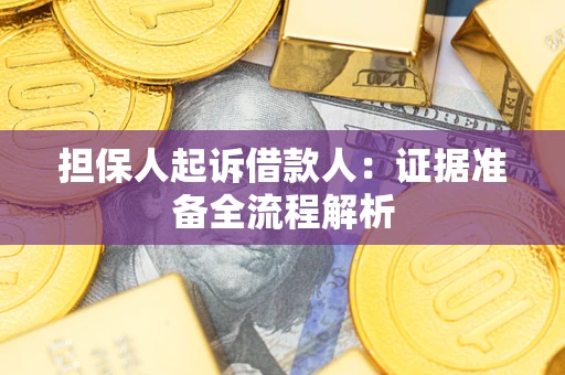 武汉担保人起诉借款人：证据准备全流程解析