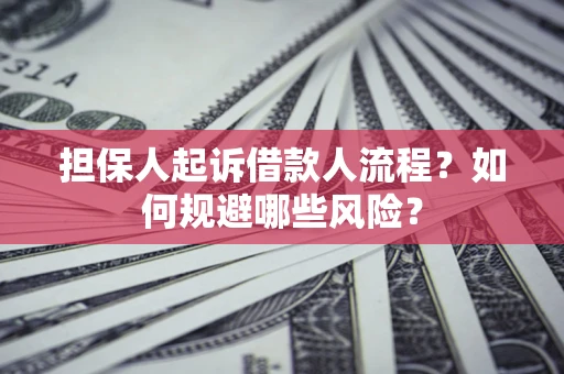 武汉担保人起诉借款人流程？如何规避哪些风险？