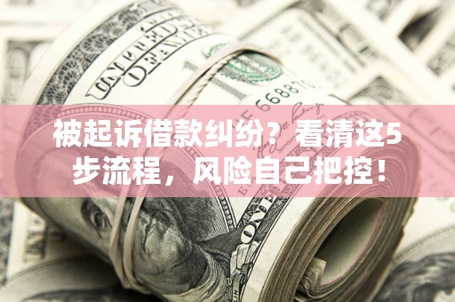 武汉被起诉借款纠纷？看清这5步流程，风险自己把控！