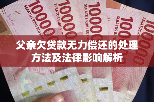 武汉父亲欠贷款无力偿还的处理方法及法律影响解析