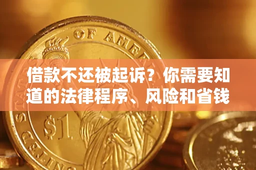 武汉借款不还被起诉？你需要知道的法律程序、风险和省钱技巧