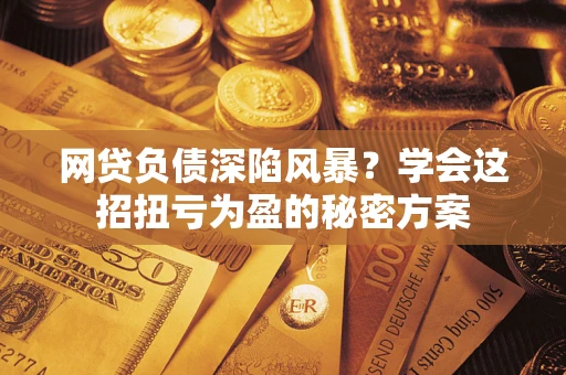 武汉网贷负债深陷风暴？学会这招扭亏为盈的秘密方案