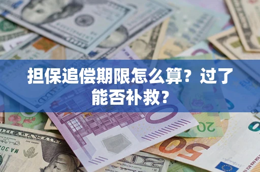 武汉担保追偿期限怎么算？过了能否补救？